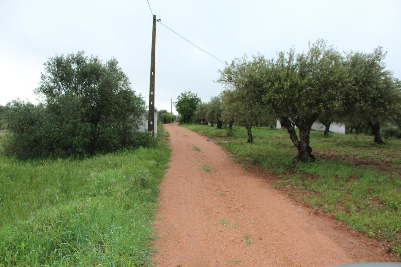 Terreno · Campo Maior — imagem 3