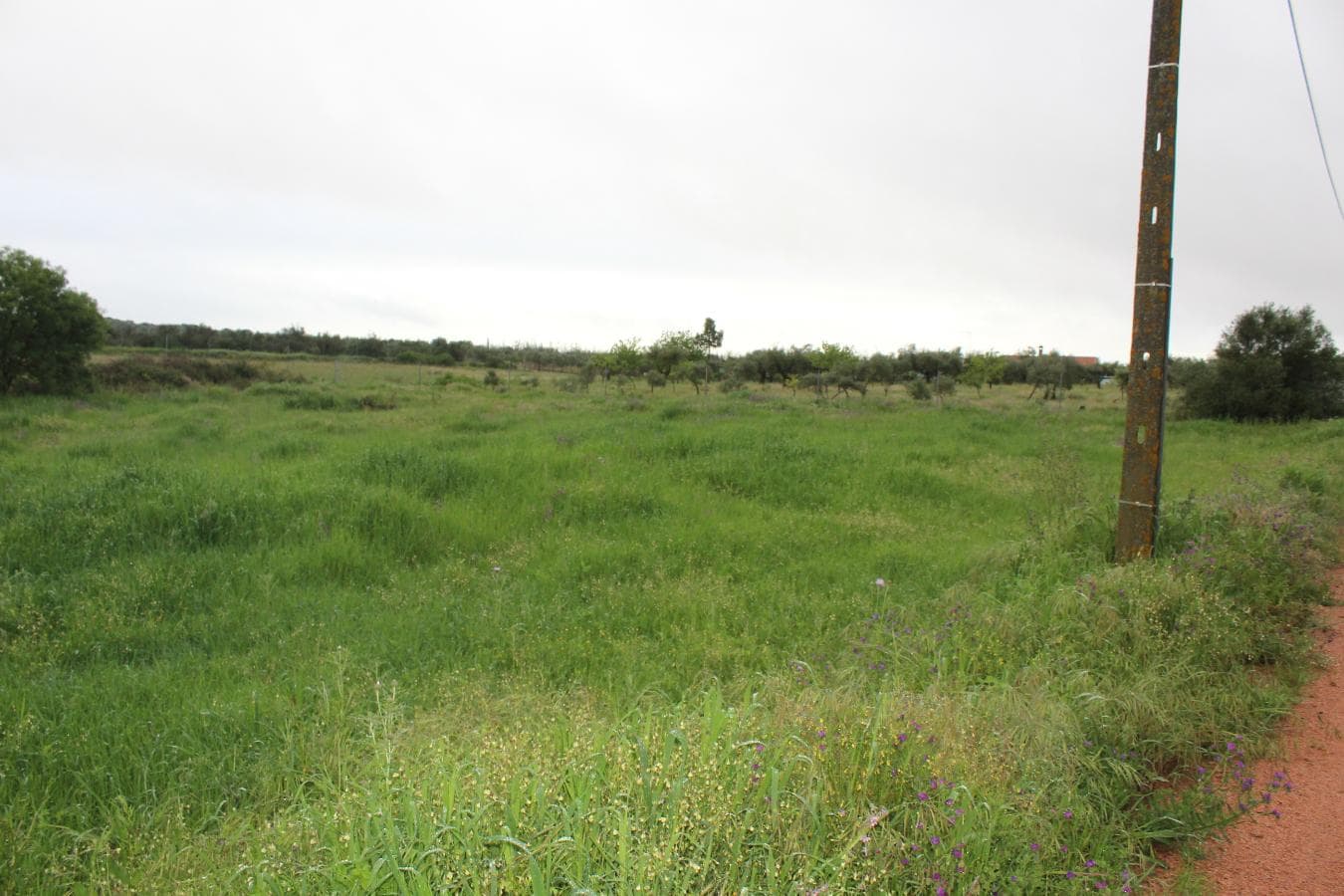 Terreno · Campo Maior — imagem 2