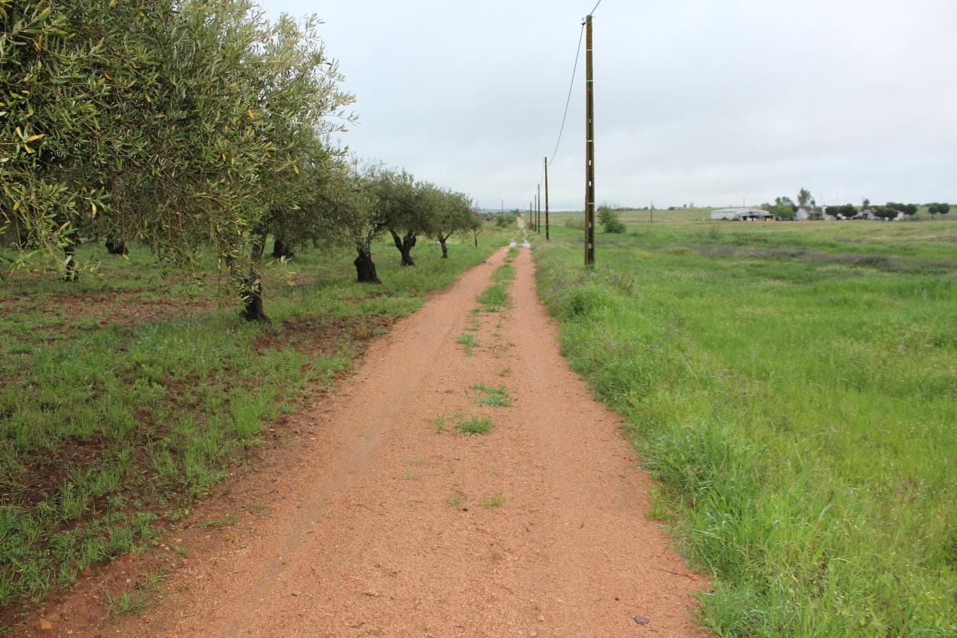 Terreno · Campo Maior — imagem 4