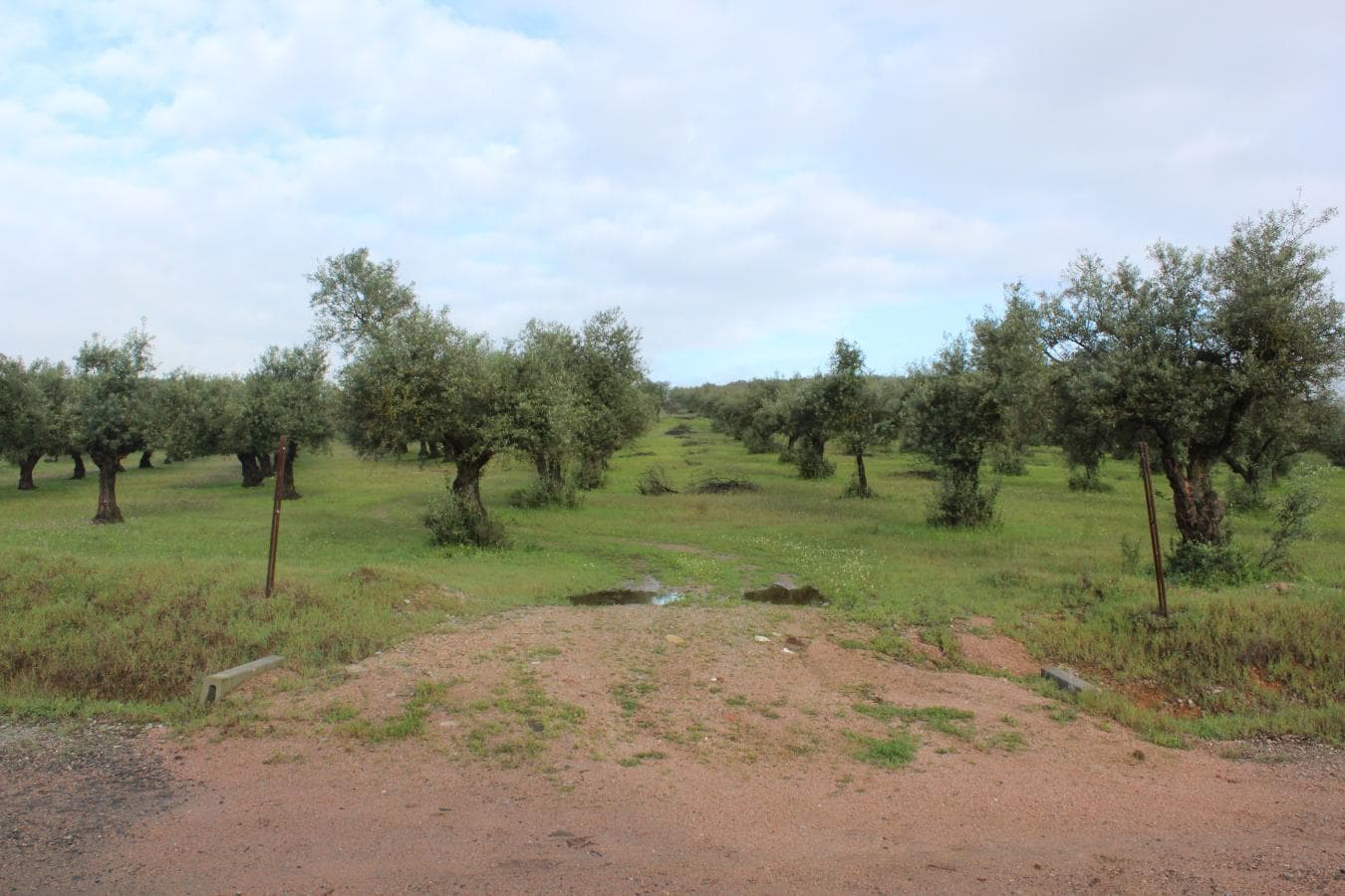 2/12 Terreno · Campo Maior — imagen 4