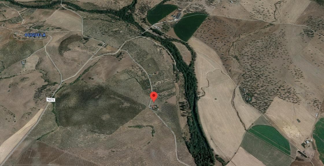 2/12 Terreno · Campo Maior — imagen 10