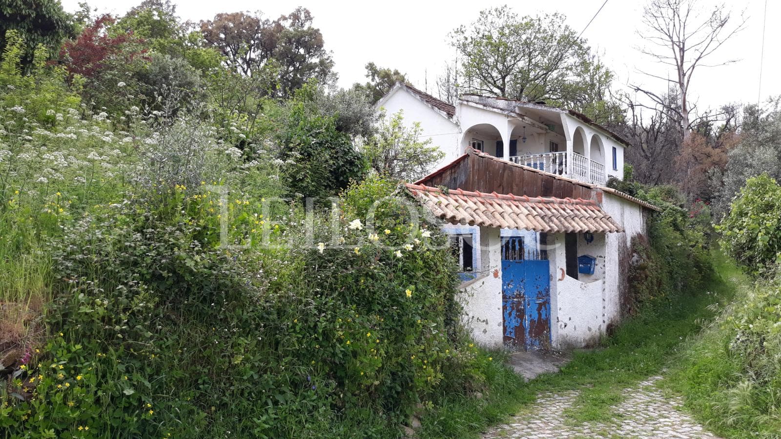 Moradia V3 + Terreno · Castanheira de Pêra — imagem 9