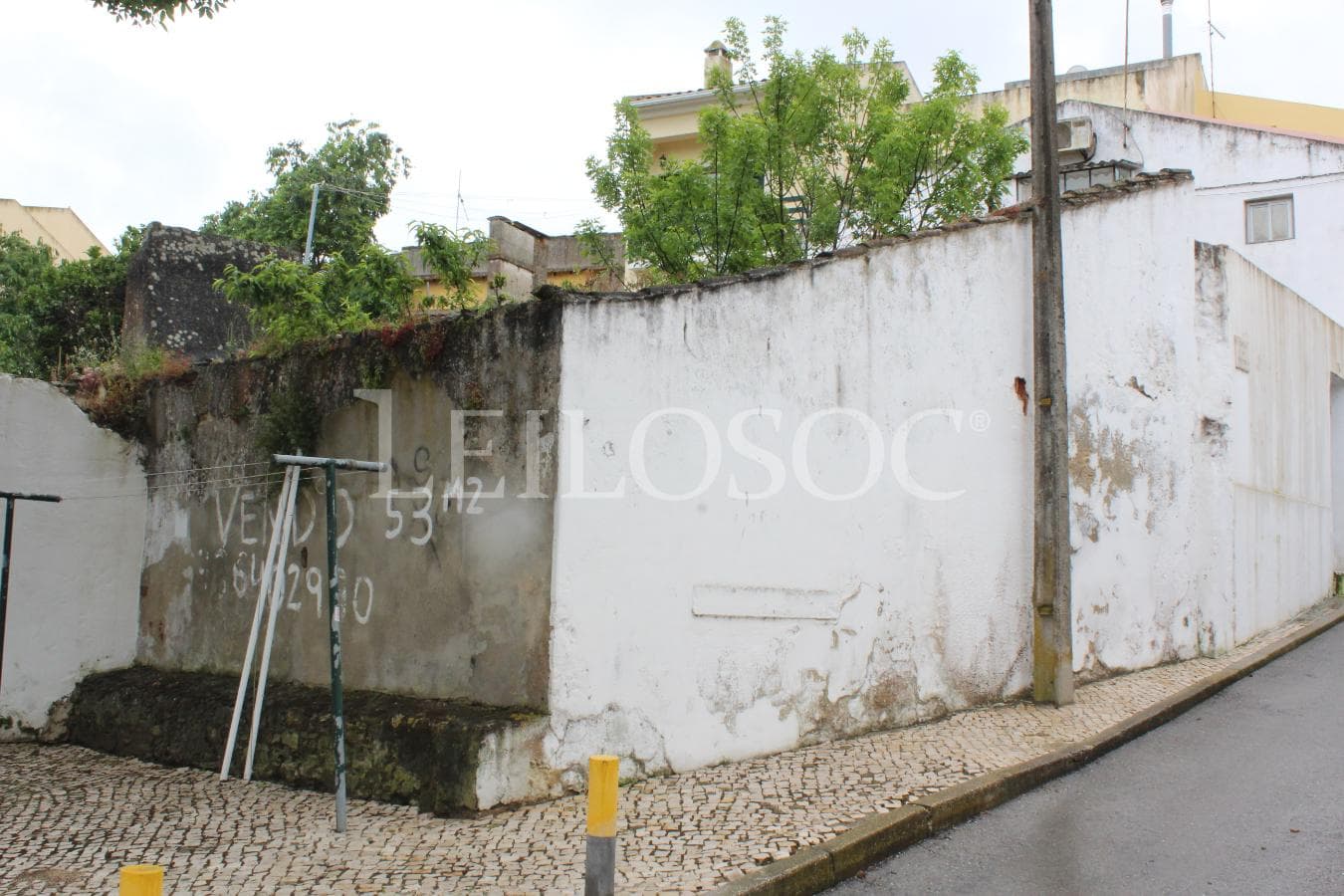 Quinhão Hereditário · Benavente — imagen 2