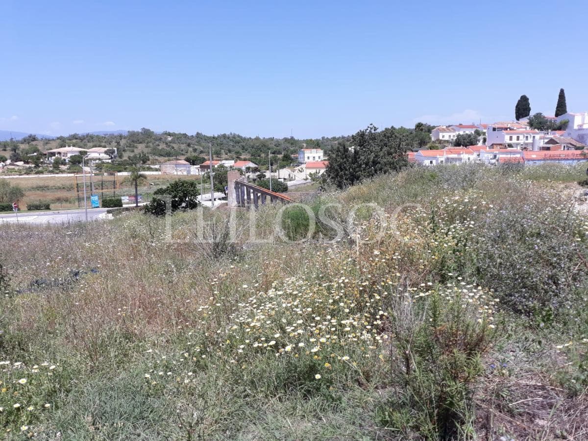 Terreno para Construção · Lagoa — image 4