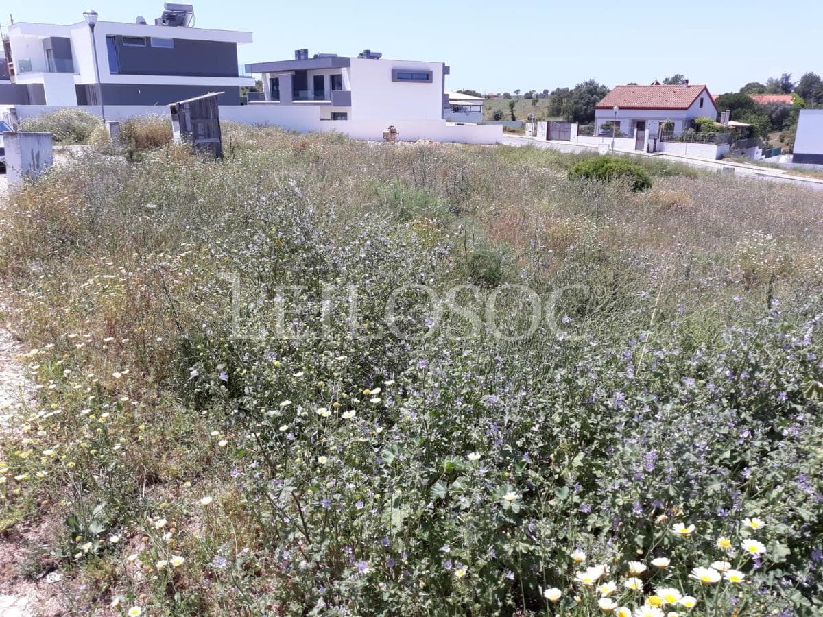 Terreno para Construção · Lagoa — image 5