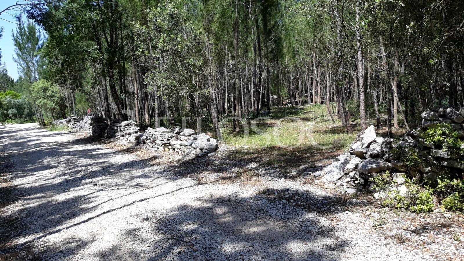 Terreno · Fátima — image 5