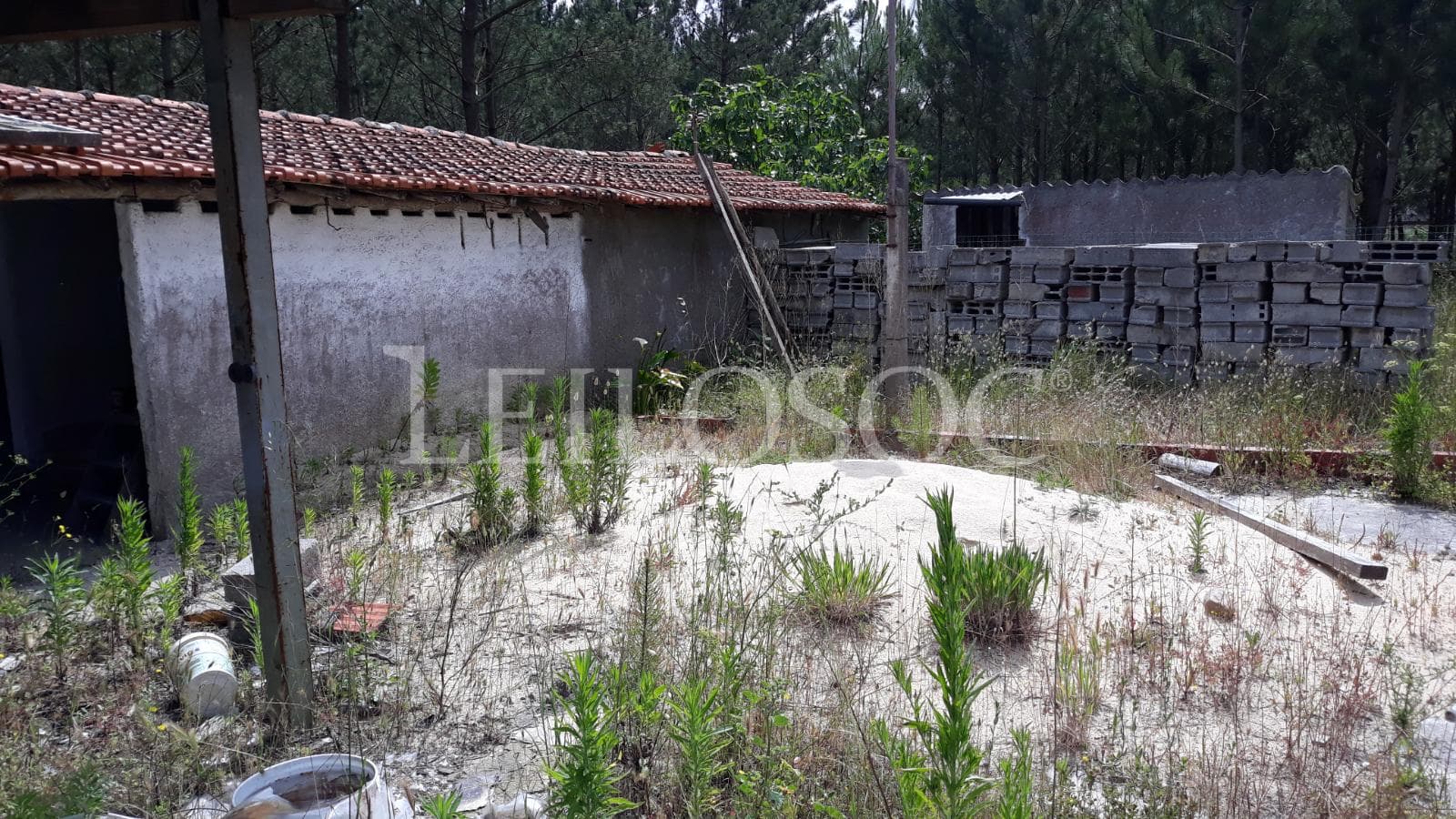 Moradia V4 · Marinha Grande — imagem 13