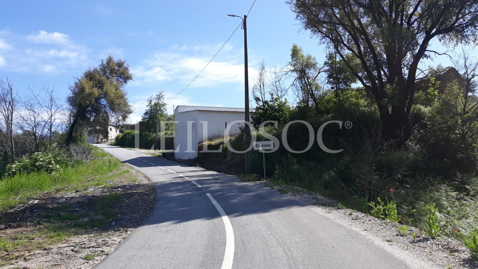 1/3 Terrenos · Figueiró Dos Vinhos — imagem 2