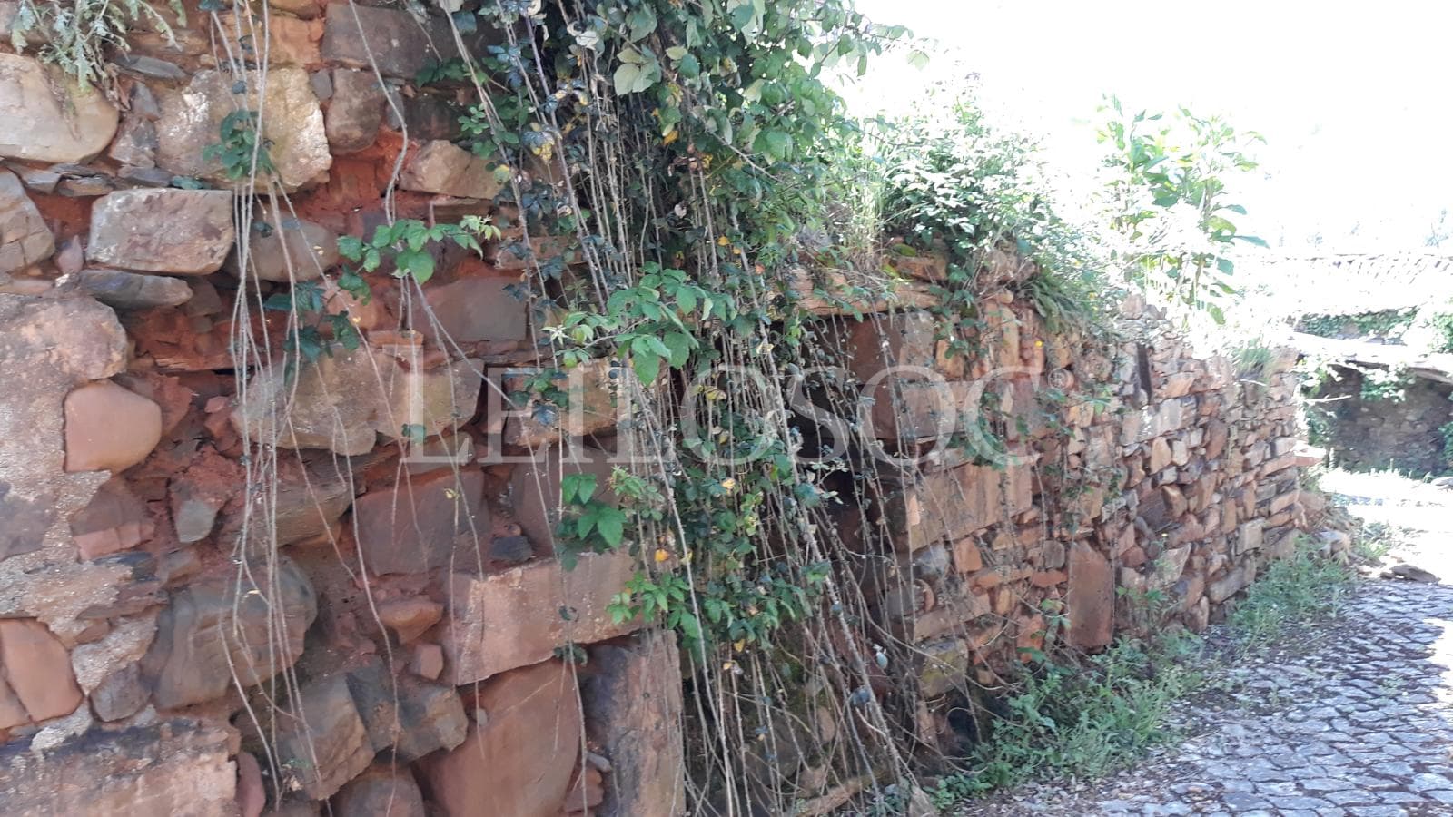 1/3 de Moradia p/ Recuperação · Figueiró dos Vinhos, Leiria — imagem 4