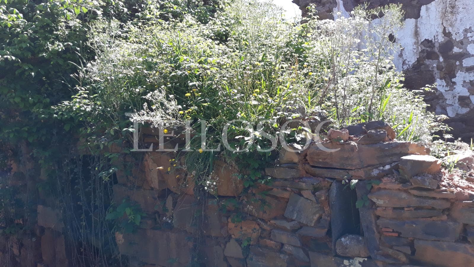 1/3 de Moradia p/ Recuperação · Figueiró dos Vinhos, Leiria — imagem 5