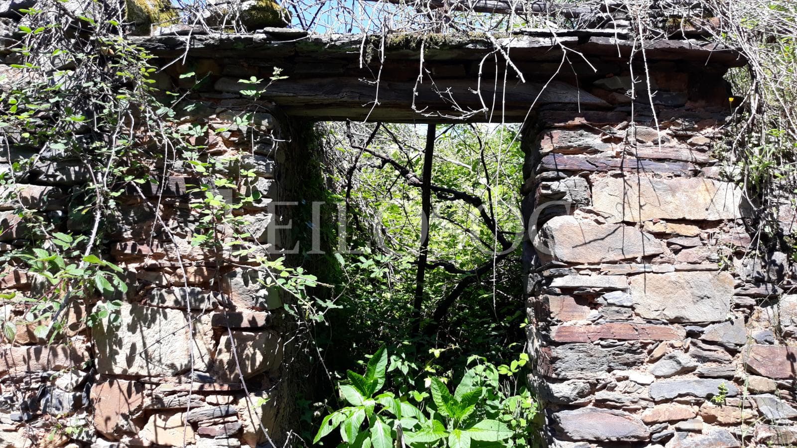 1/3 de Moradia p/ Recuperação · Figueiró dos Vinhos, Leiria — imagem 3