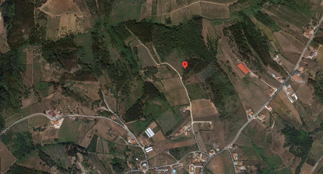 Terreno · Caldas da Rainha — imagen 6