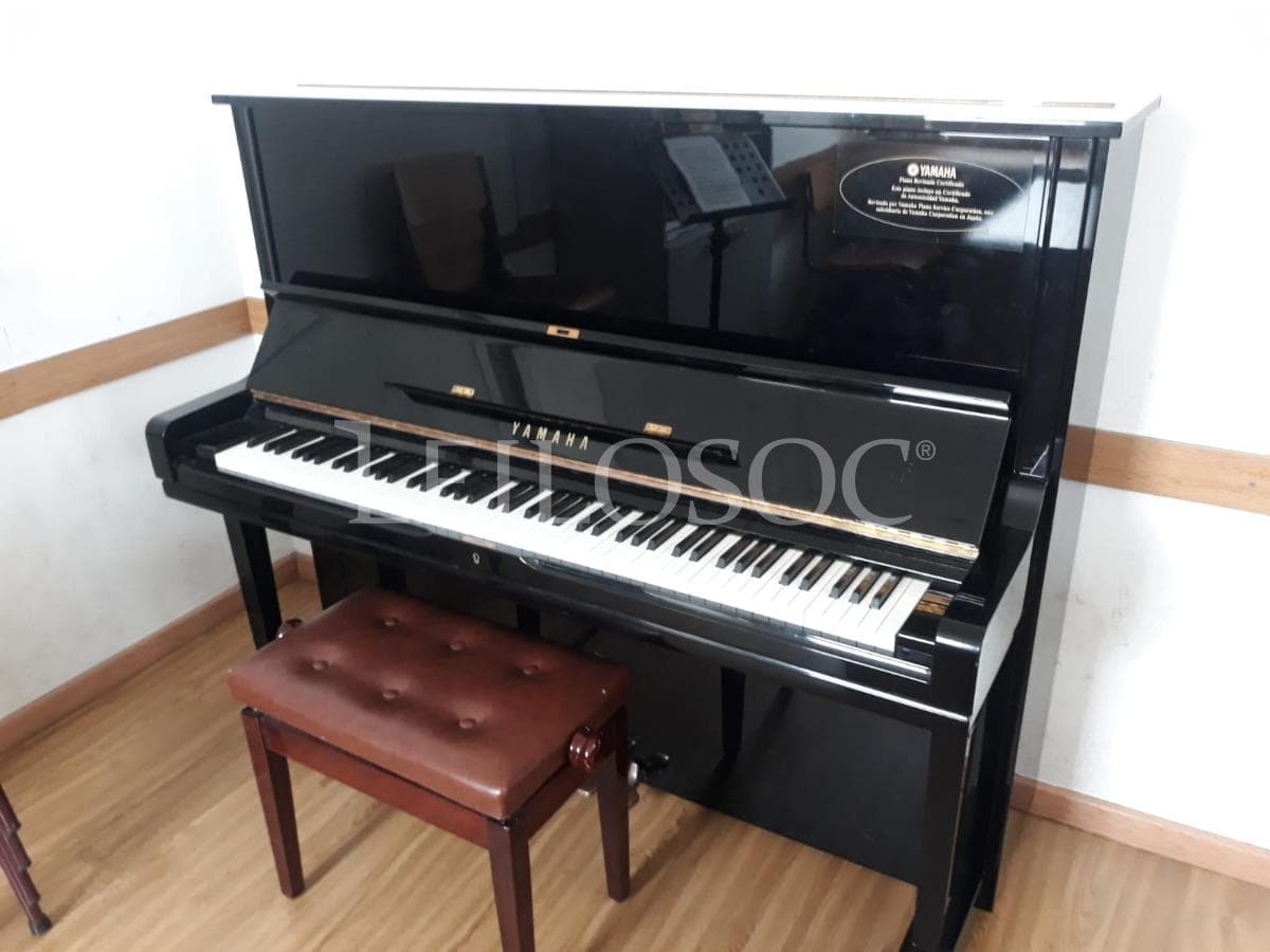 LEILÃO SUSPENSO · Instrumentos Musicais