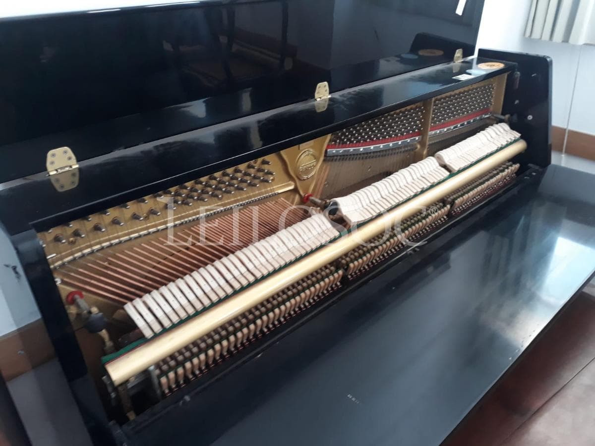 LEILÃO SUSPENSO · Instrumentos Musicais — imagem 7