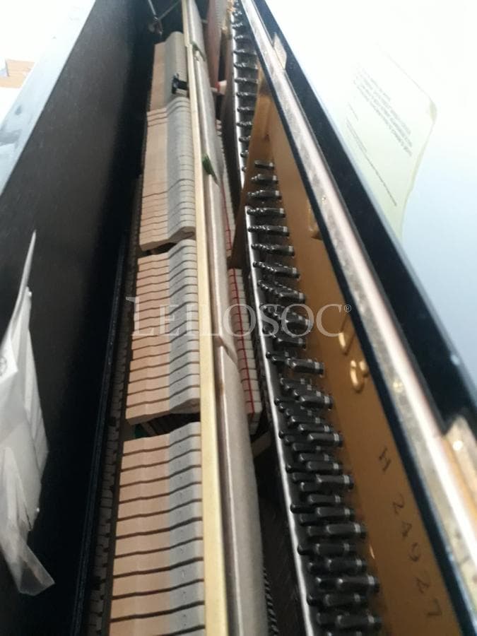 LEILÃO SUSPENSO · Instrumentos Musicais — imagem 11