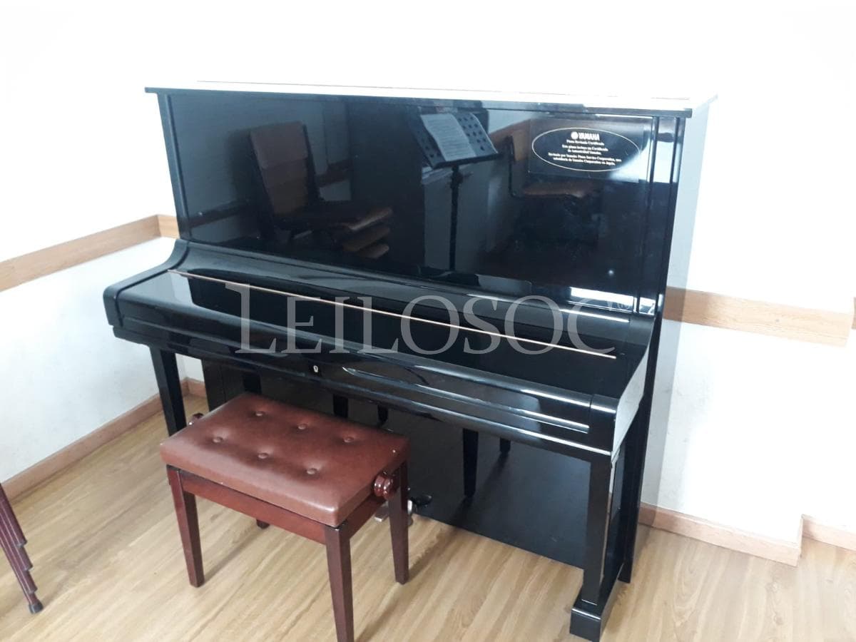 LEILÃO SUSPENSO · Instrumentos Musicais — imagem 12