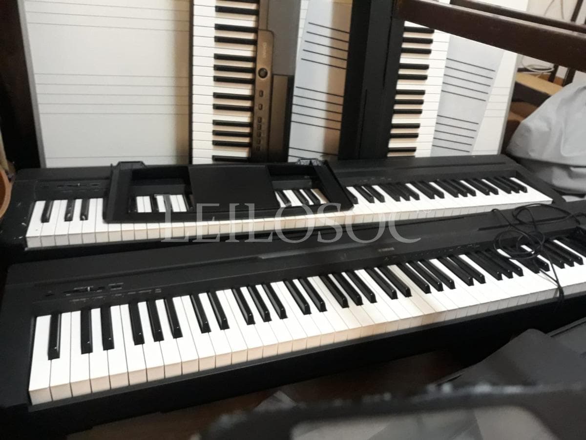 LEILÃO SUSPENSO · Instrumentos Musicais