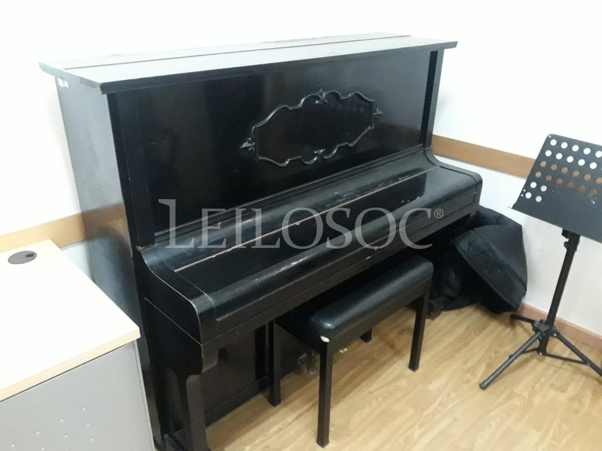 LEILÃO SUSPENSO · Instrumentos Musicais — imagem 10