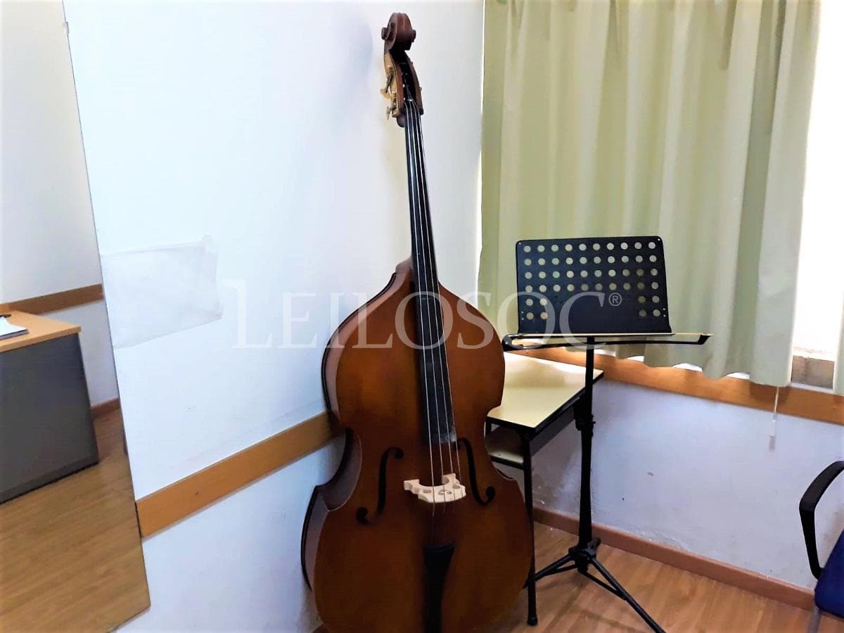 LEILÃO SUSPENSO · Instrumentos Musicais — imagem 2
