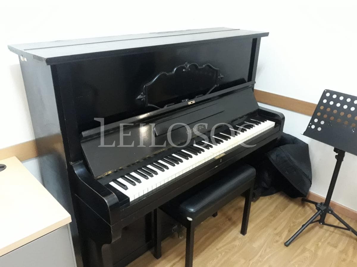 LEILÃO SUSPENSO · Instrumentos Musicais — imagem 11