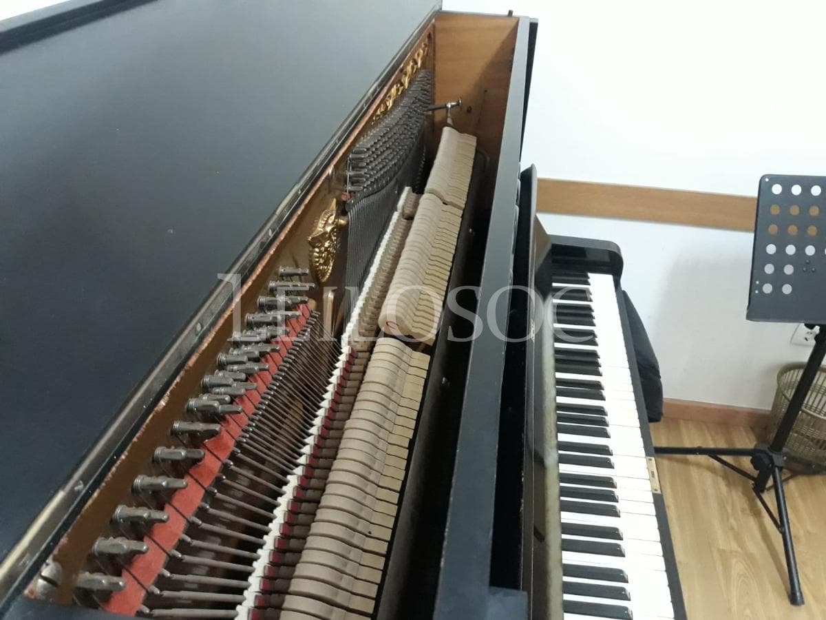 LEILÃO SUSPENSO · Instrumentos Musicais — imagem 12