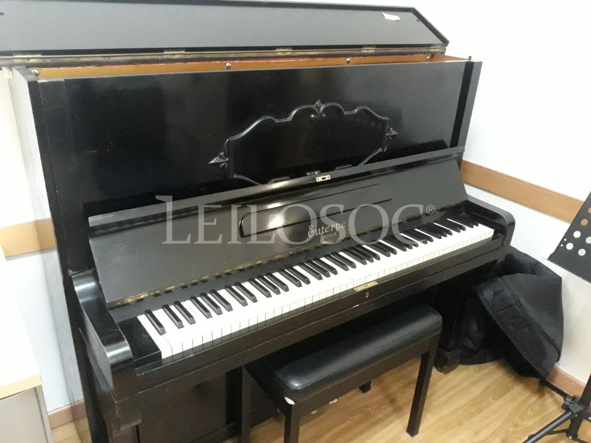 LEILÃO SUSPENSO · Instrumentos Musicais — imagem 13