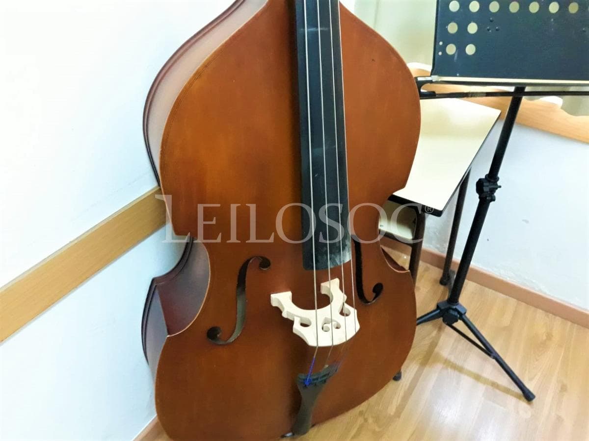 LEILÃO SUSPENSO · Instrumentos Musicais — imagem 4