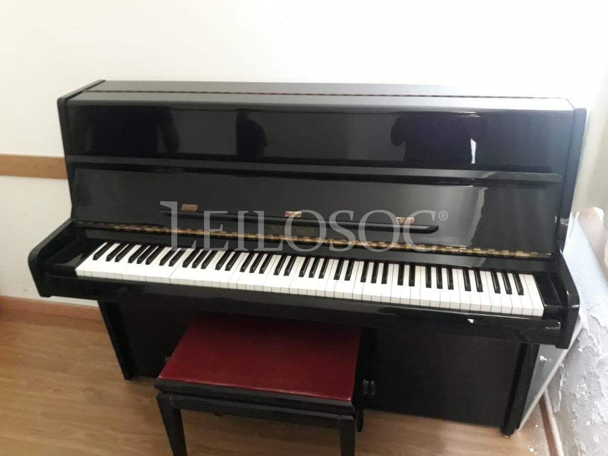 LEILÃO SUSPENSO · Instrumentos Musicais