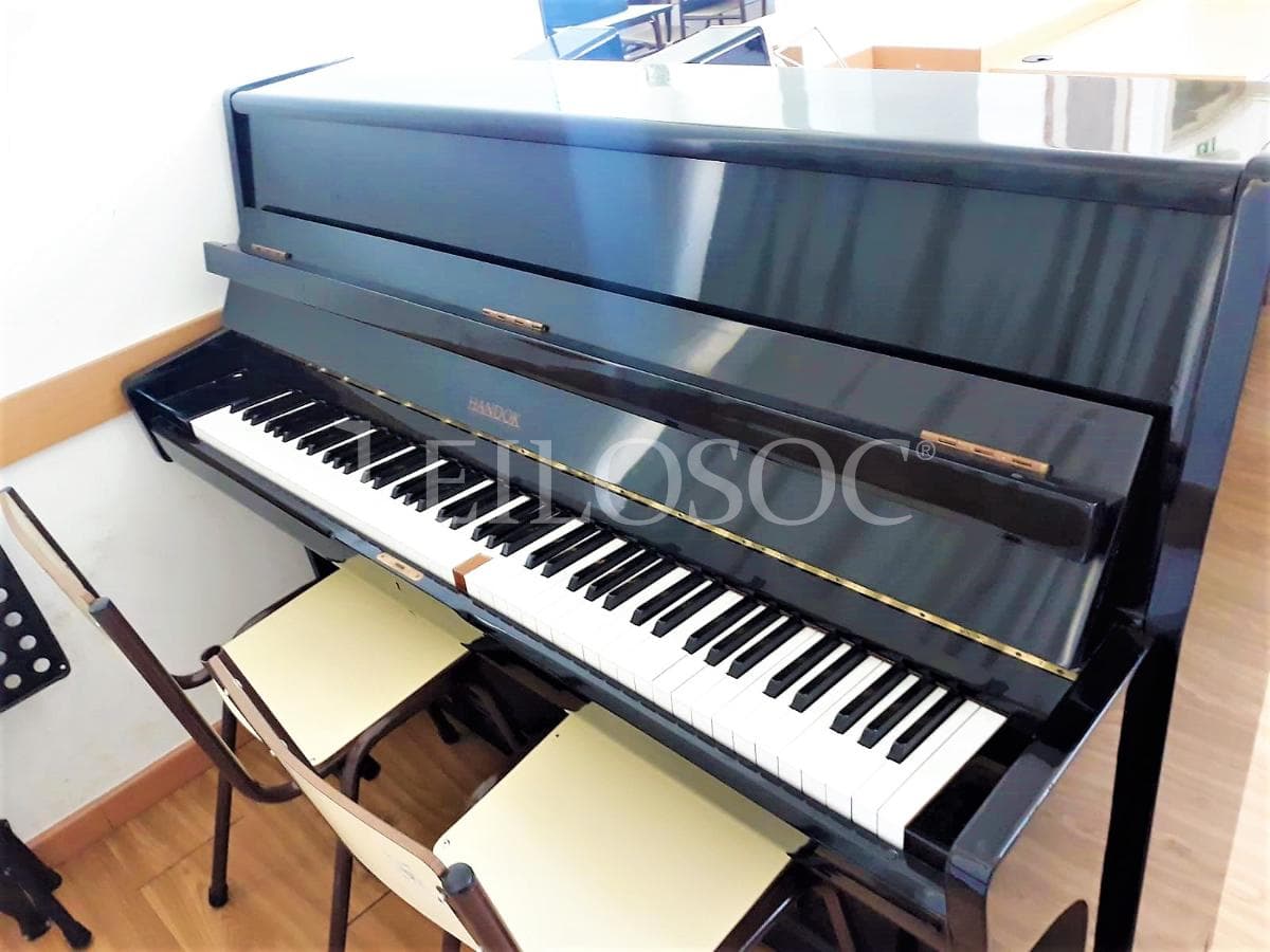 LEILÃO SUSPENSO · Instrumentos Musicais