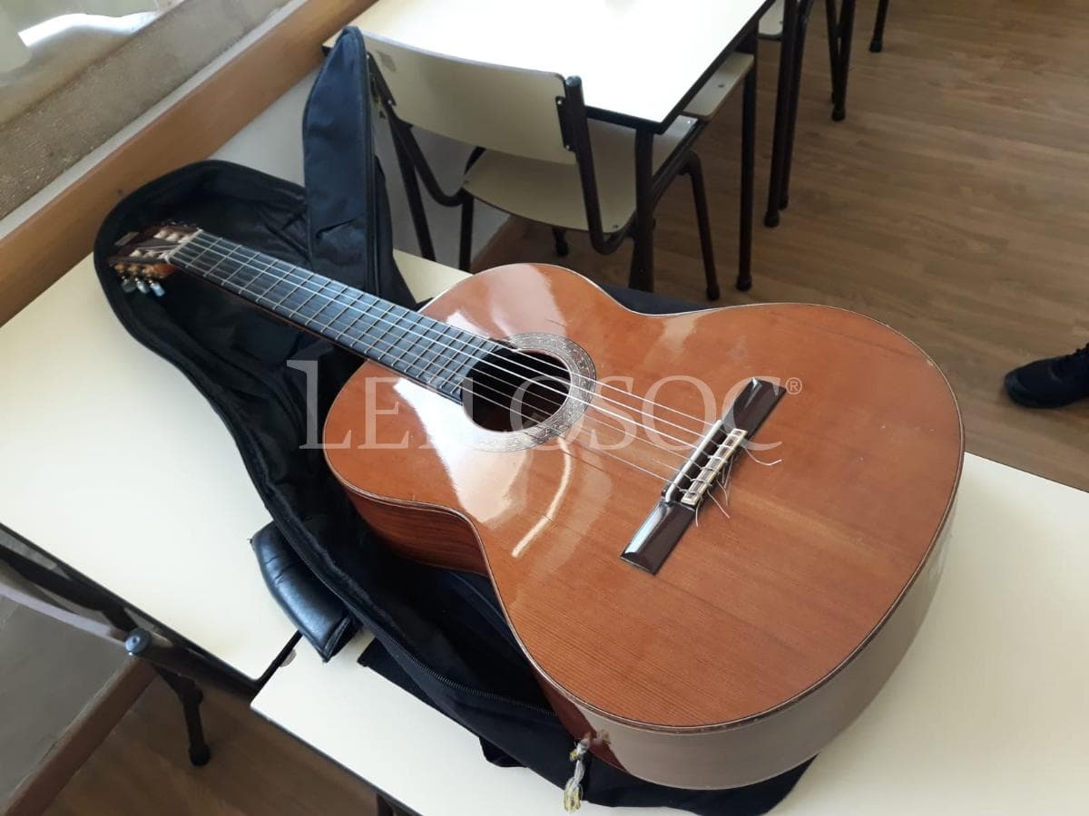 LEILÃO SUSPENSO · Instrumentos Musicais — imagem 6