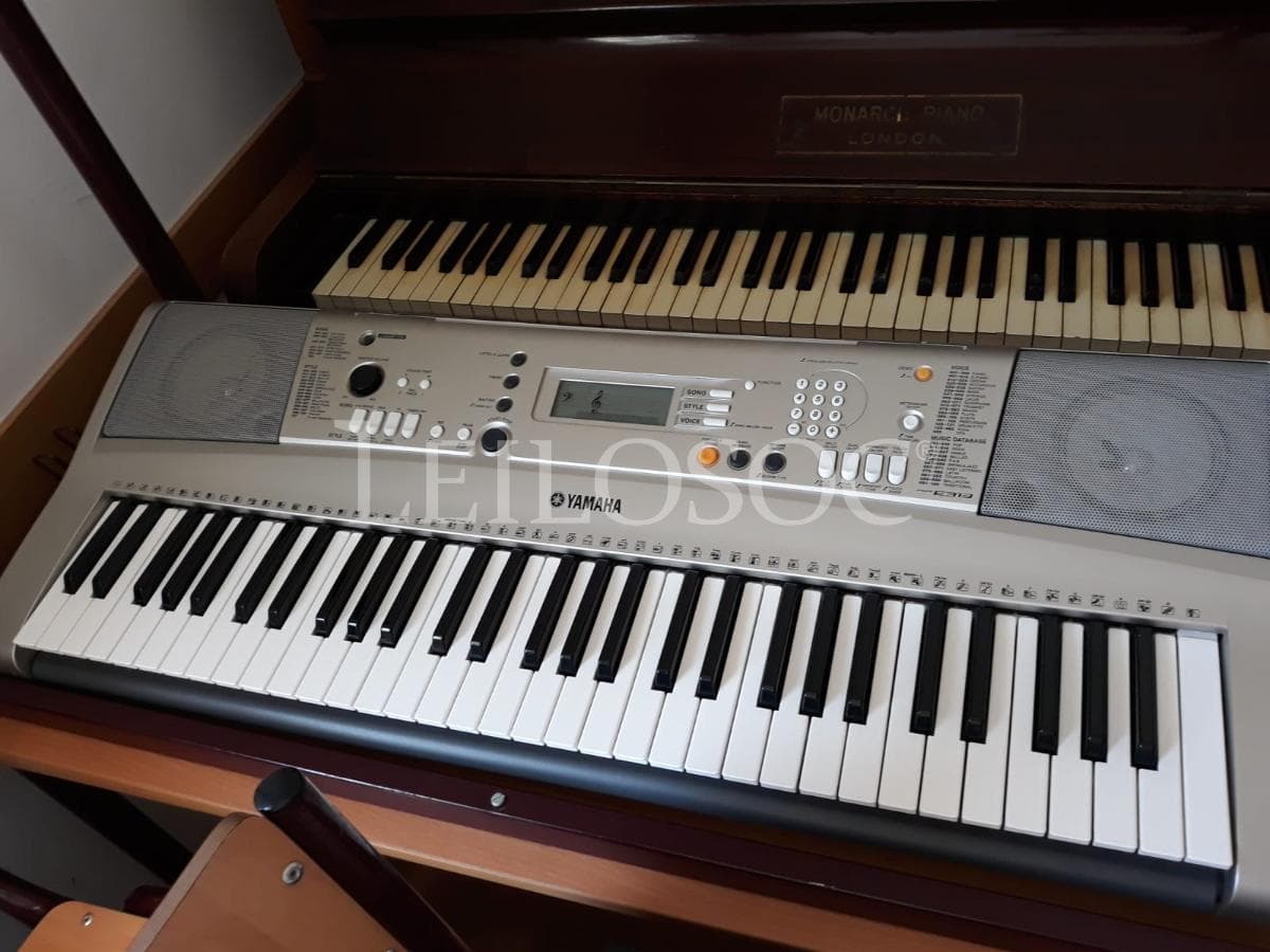 LEILÃO SUSPENSO · Instrumentos Musicais
