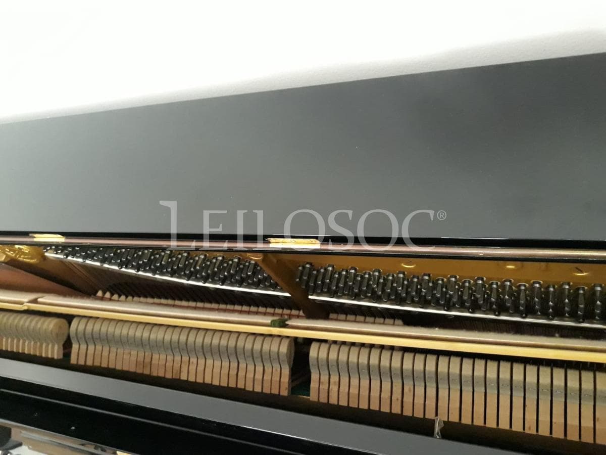 LEILÃO SUSPENSO · Instrumentos Musicais — imagem 3