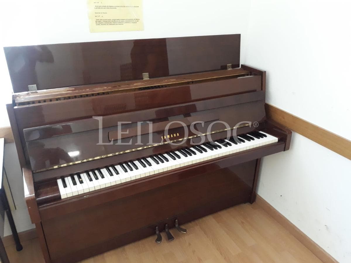 LEILÃO SUSPENSO · Instrumentos Musicais