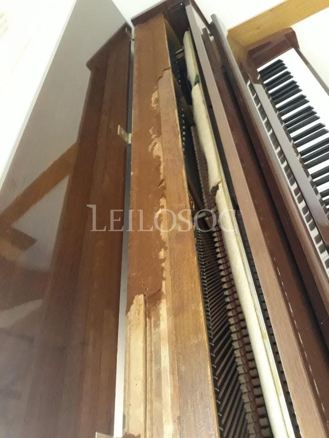 LEILÃO SUSPENSO · Instrumentos Musicais — imagem 7