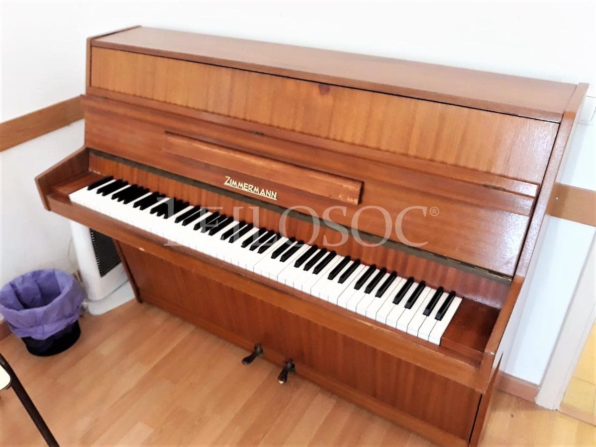 LEILÃO SUSPENSO · Instrumentos Musicais