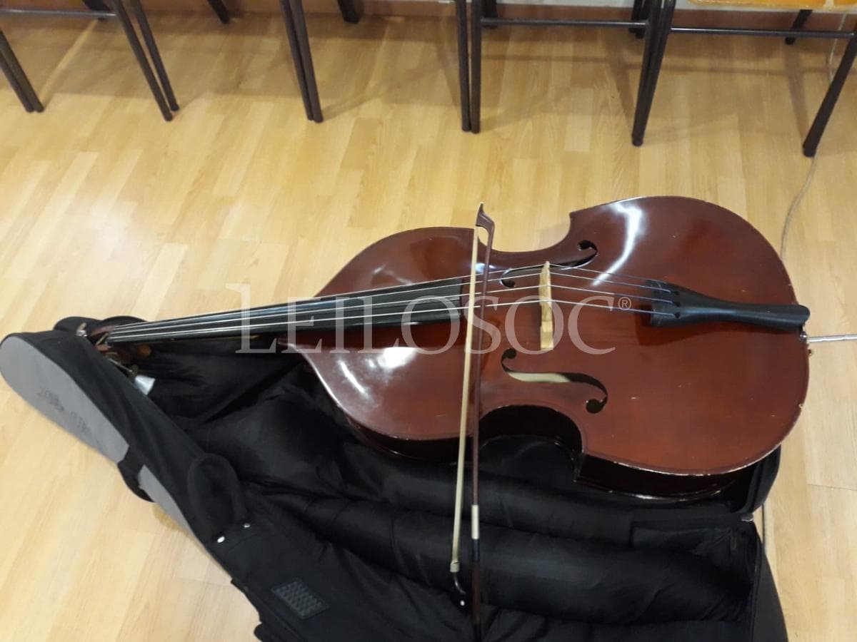 LEILÃO SUSPENSO · Instrumentos Musicais — imagem 10