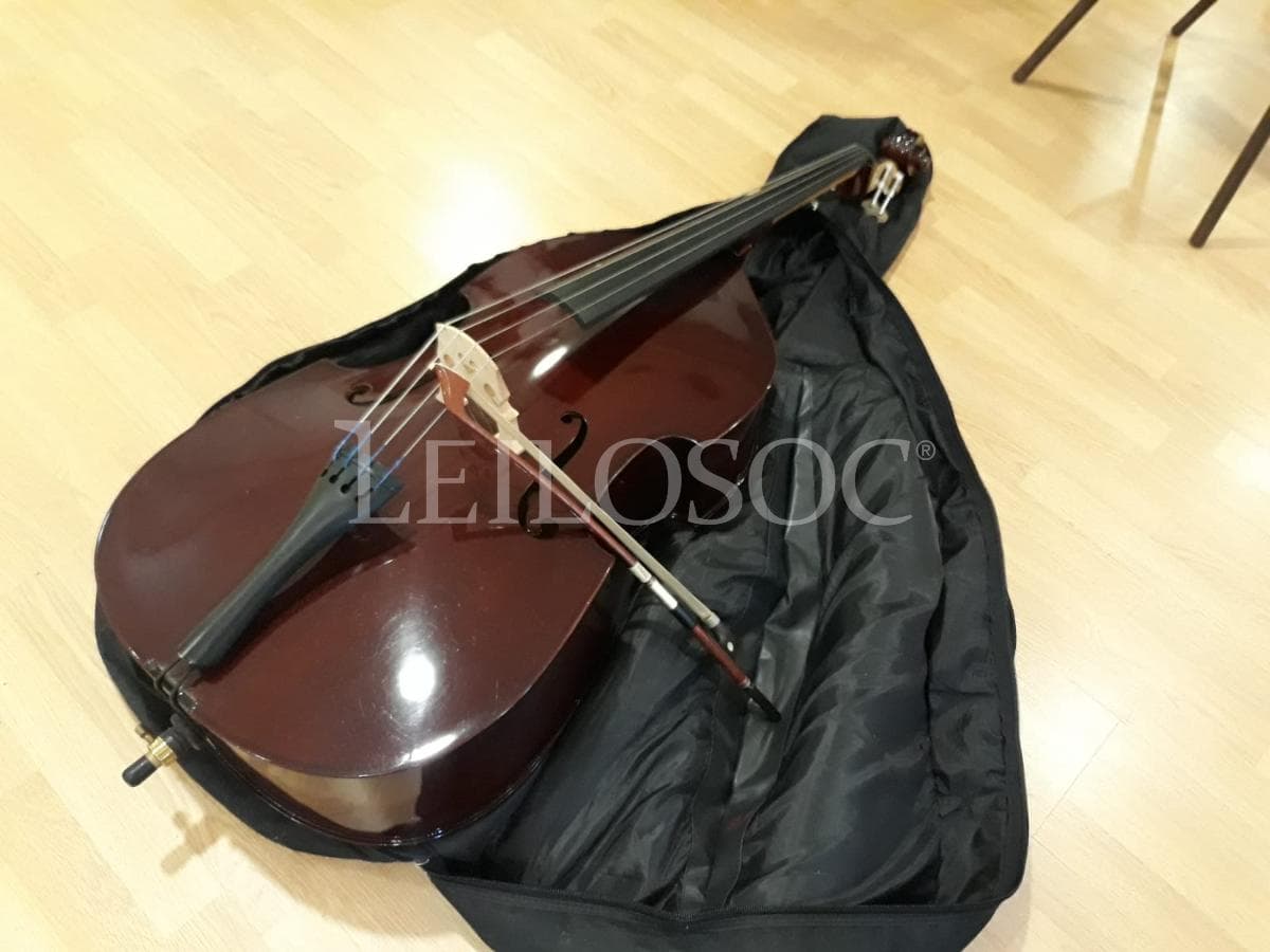LEILÃO SUSPENSO · Instrumentos Musicais — imagem 11