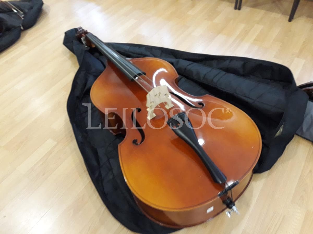 LEILÃO SUSPENSO · Instrumentos Musicais — imagem 12