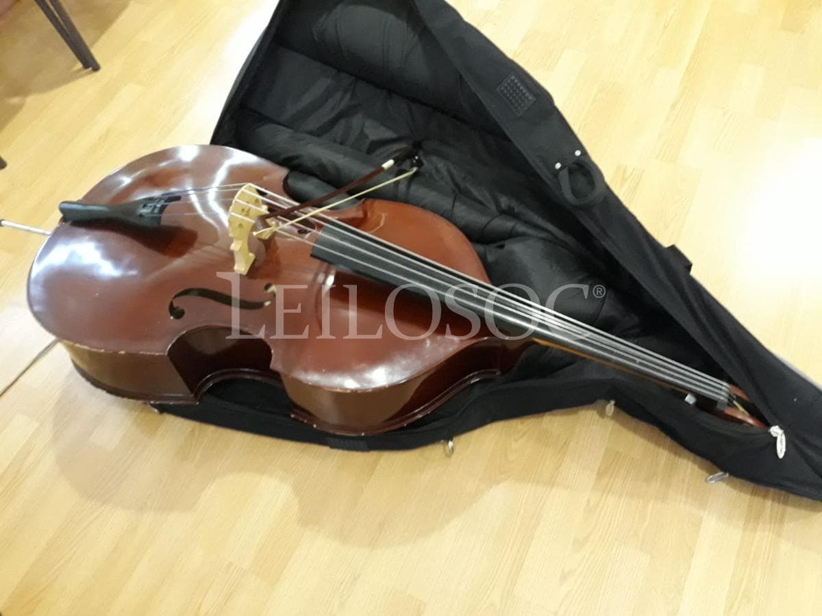 LEILÃO SUSPENSO · Instrumentos Musicais — imagem 14