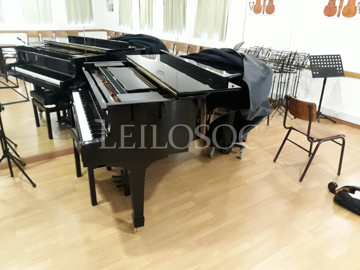 LEILÃO SUSPENSO · Instrumentos Musicais — imagem 2