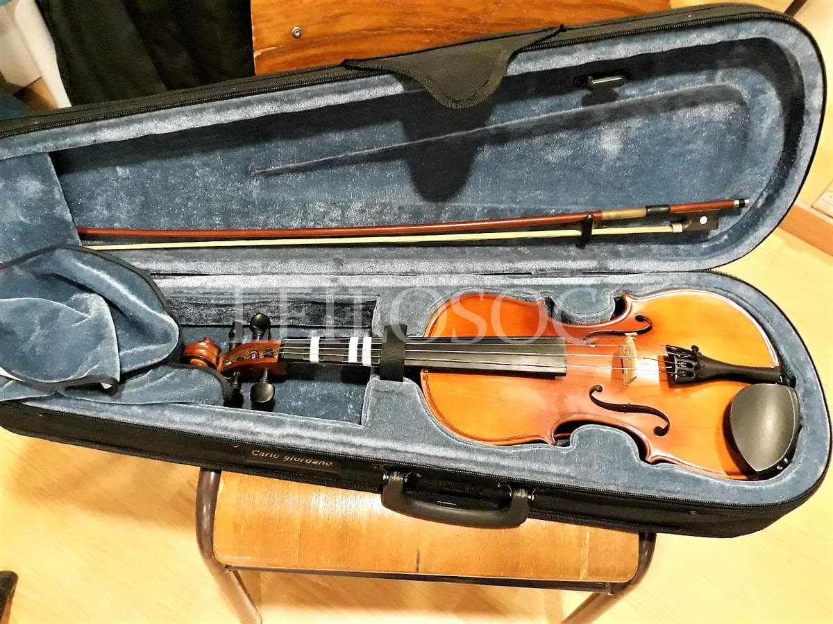LEILÃO SUSPENSO · Instrumentos Musicais — imagem 9