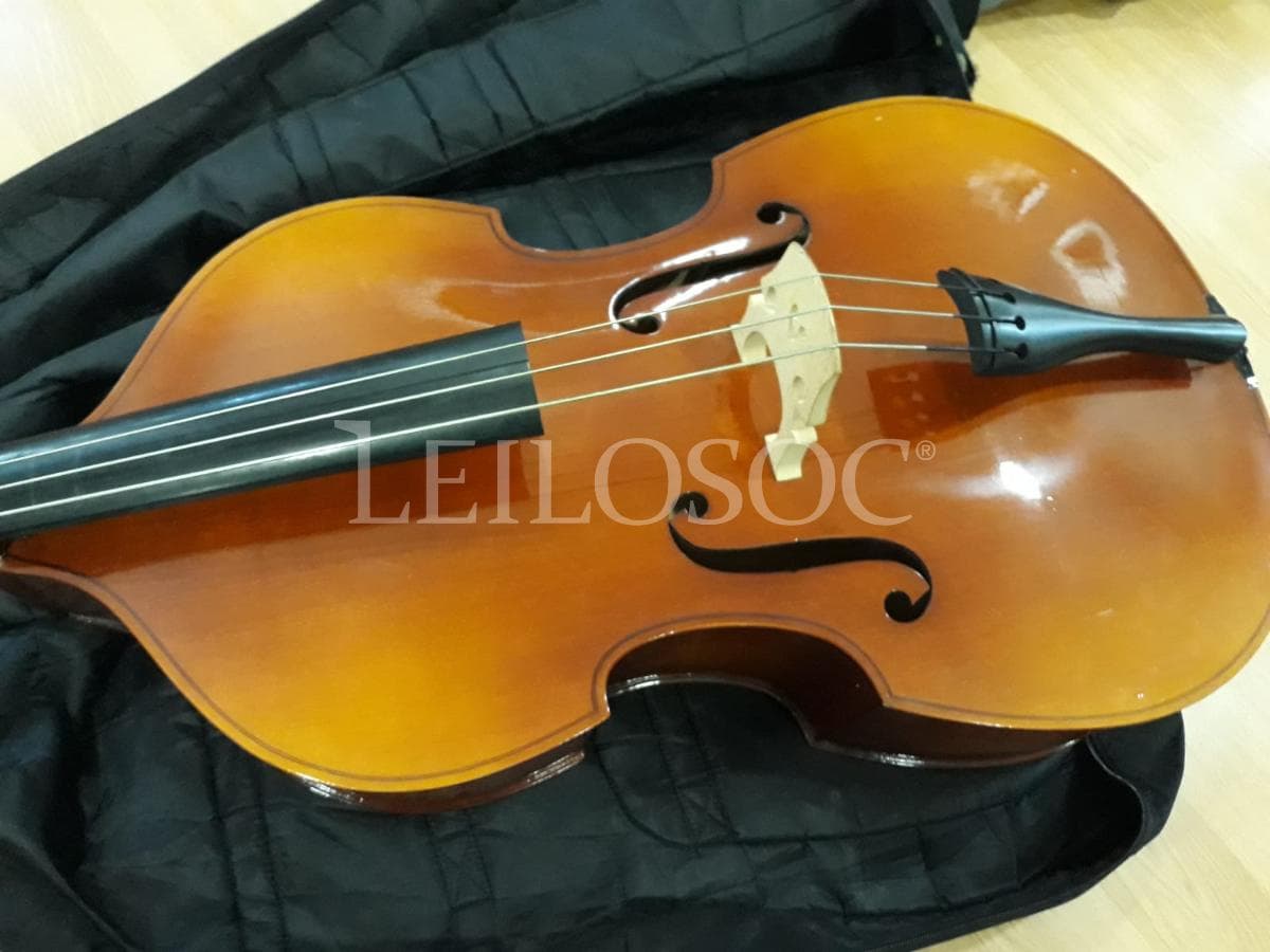 LEILÃO SUSPENSO · Instrumentos Musicais — imagem 13