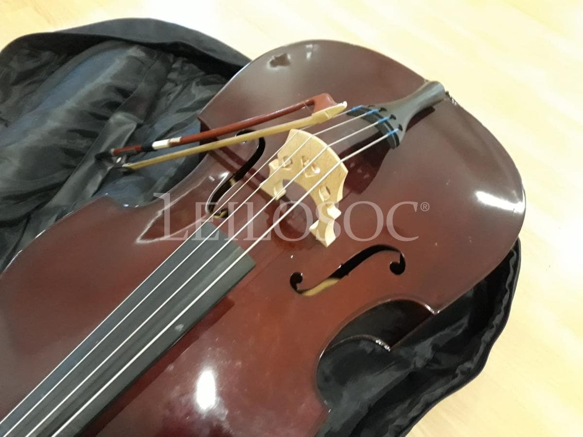 LEILÃO SUSPENSO · Instrumentos Musicais — imagem 15