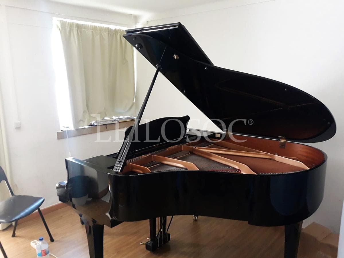 LEILÃO SUSPENSO · Instrumentos Musicais · Equipamento de Escritório — imagem 4