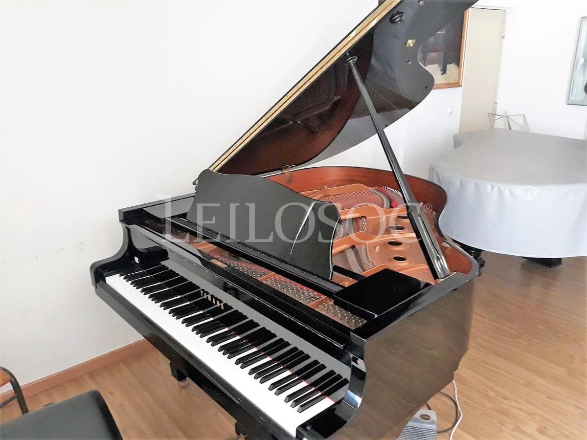 LEILÃO SUSPENSO · Instrumentos Musicais · Equipamento de Escritório — imagem 1