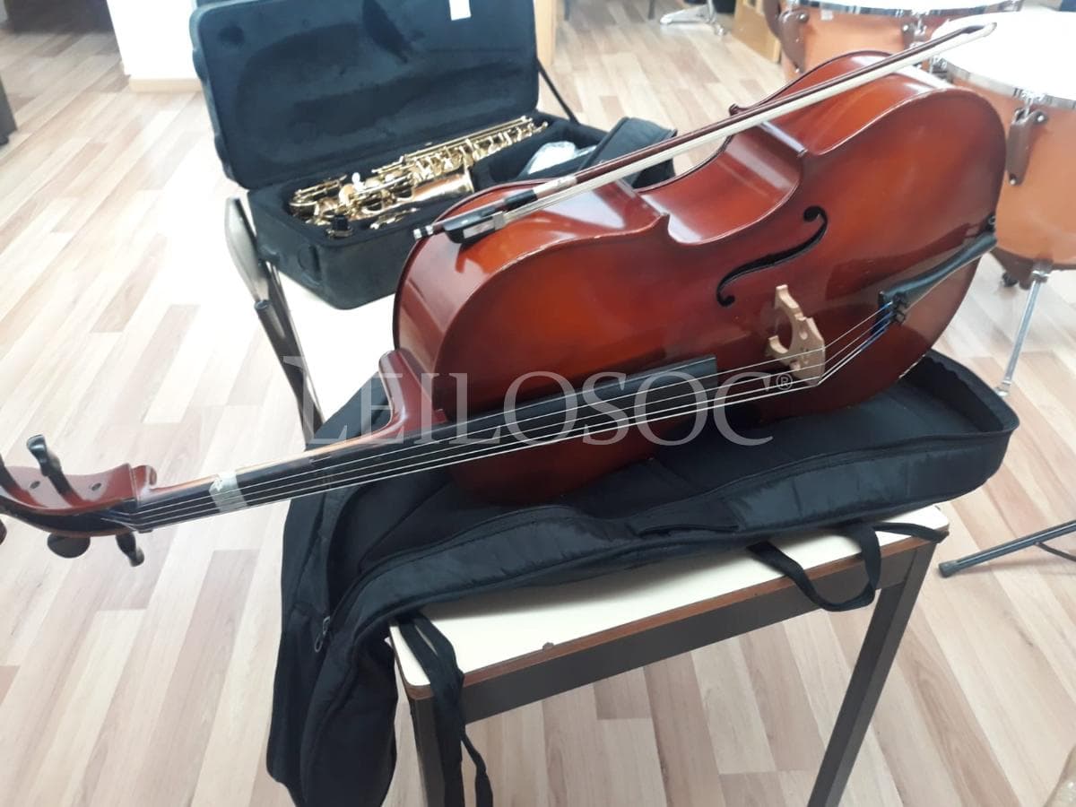 AUCTION SUSPENDED · Musical Instruments — image 2