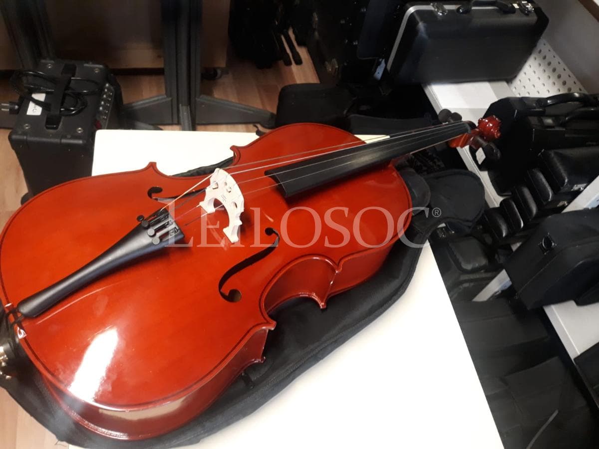 AUCTION SUSPENDED · Musical Instruments — image 3