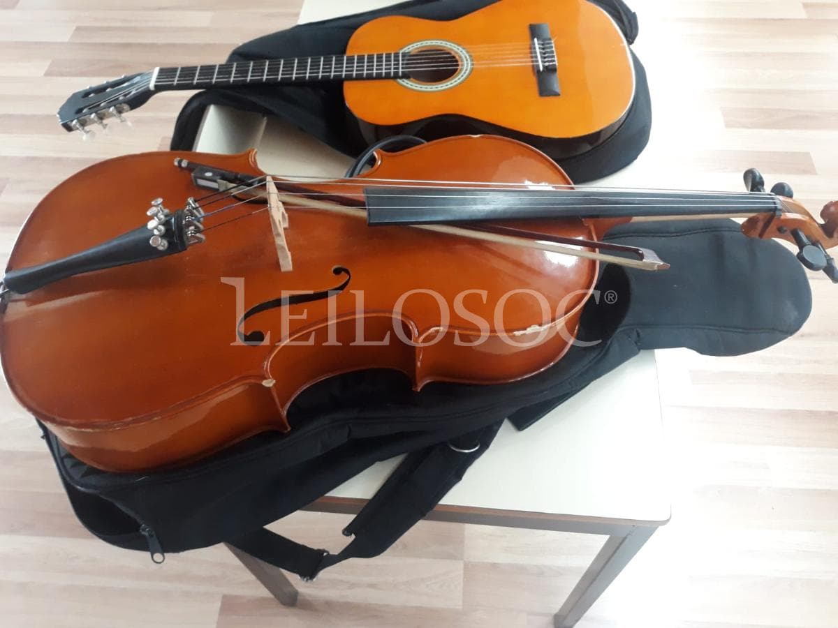 AUCTION SUSPENDED · Musical Instruments — image 4