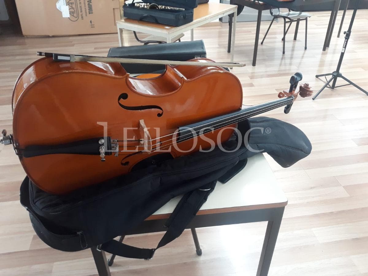 AUCTION SUSPENDED · Musical Instruments — image 5