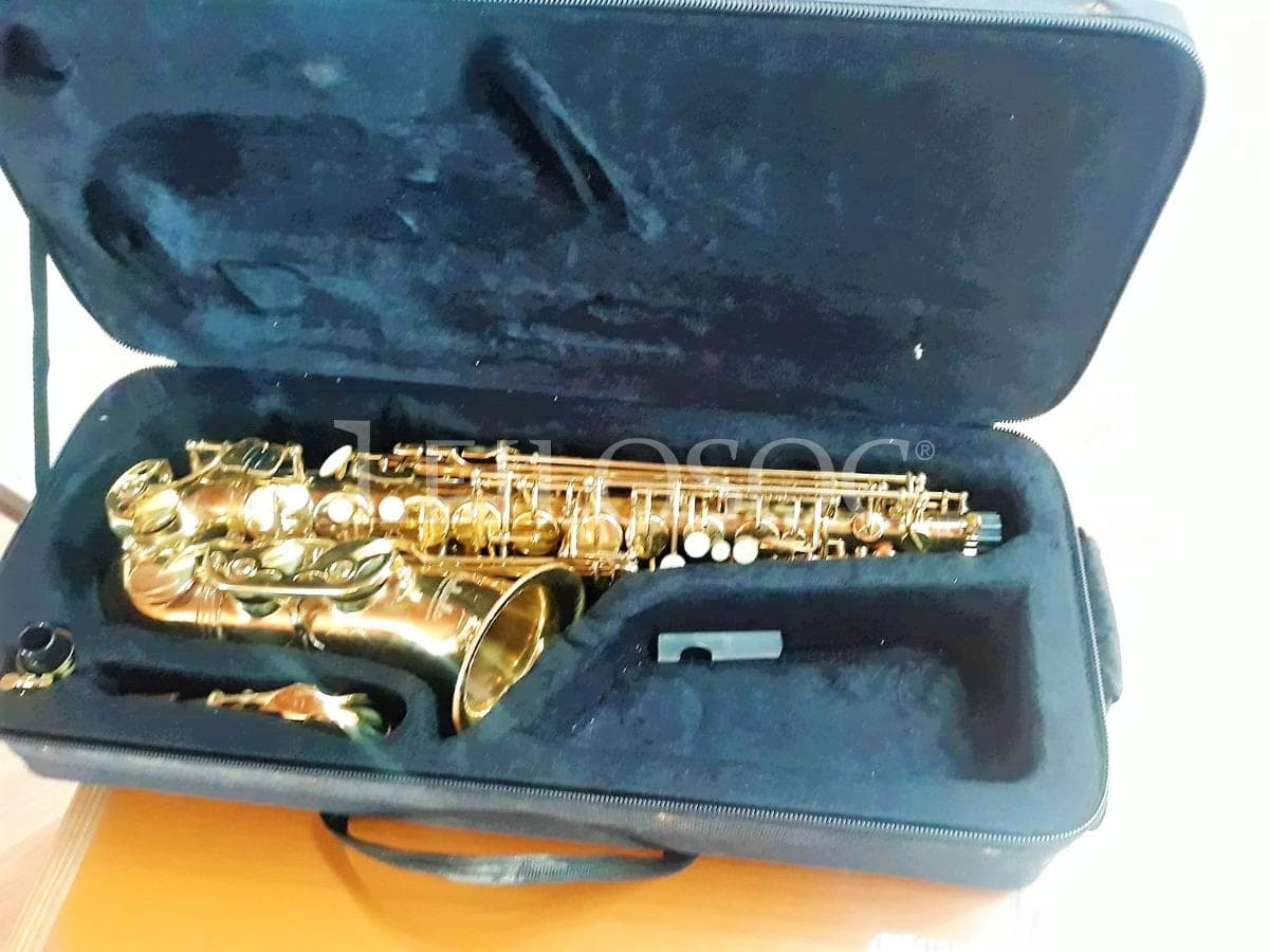 SUBASTA SUSPENDIDA · Instrumentos Musicales — imagen 3